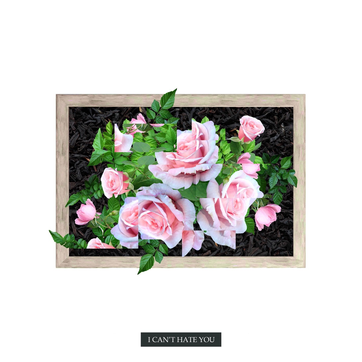 I Can't Hate You - Single by Kayou. & yaeow album cover