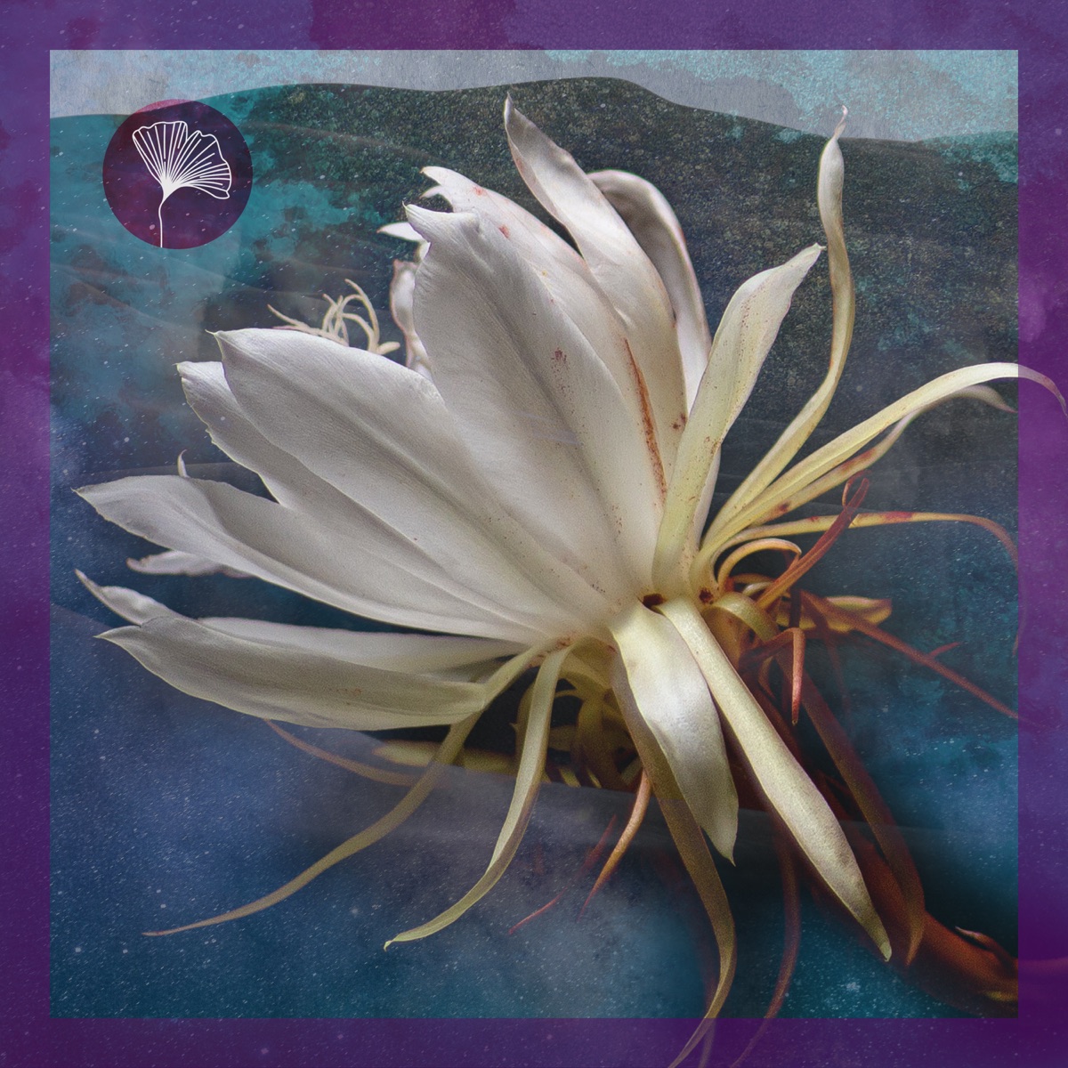 Another Brick In The Wall - Single by Darksidevinyl & Ucha album cover