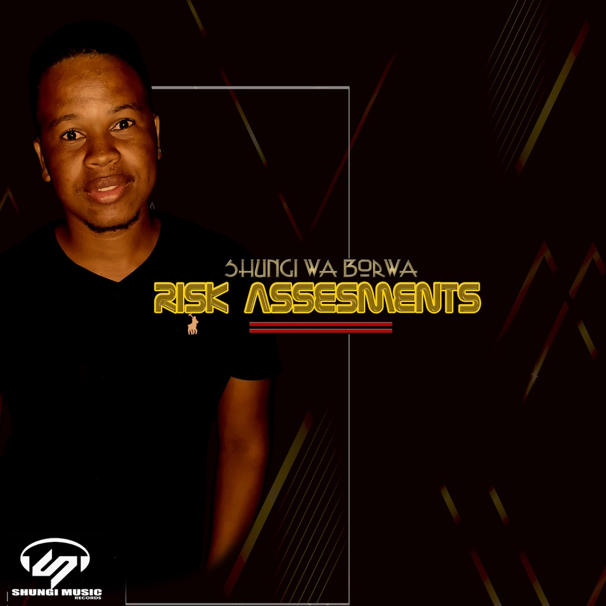 Risk Assesments - EP by Shungi Wa Borwa album cover