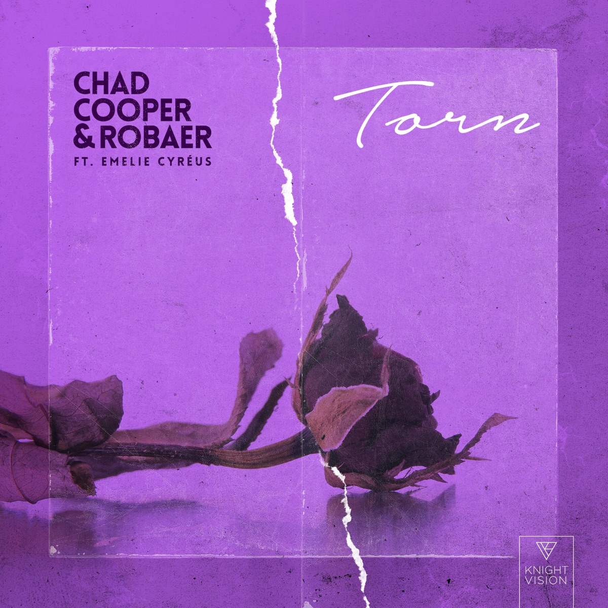 Torn (feat. Emelie Cyréus) - Single by Chad Cooper & Robaer album cover