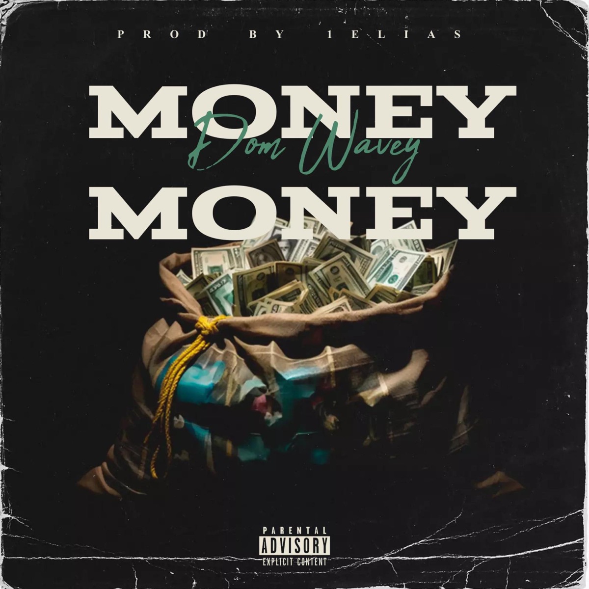 Money Money - Single by Dom Wavey album cover