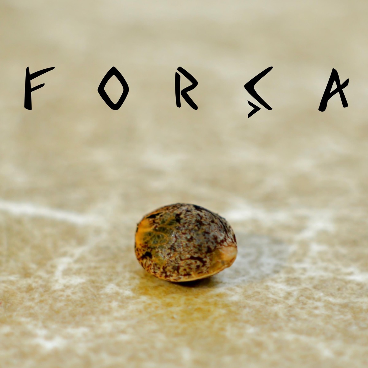 Força - Single by TribalMixtura album cover