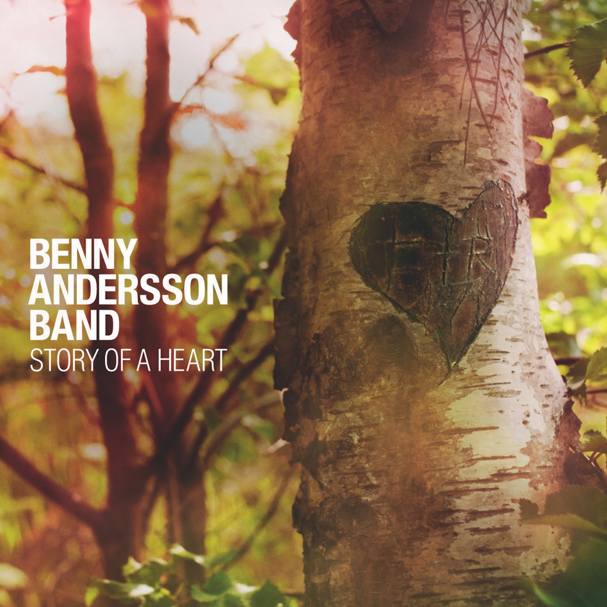 Story of a Heart by Benny Anderssons Orkester album cover