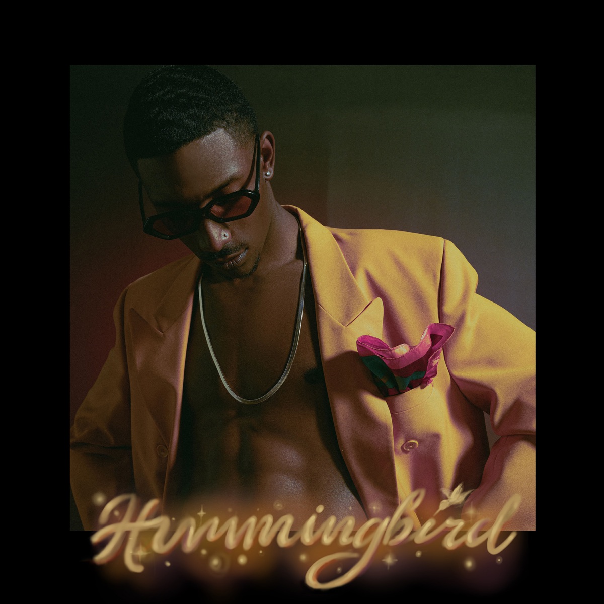 Hummingbird by bLAck pARty album cover