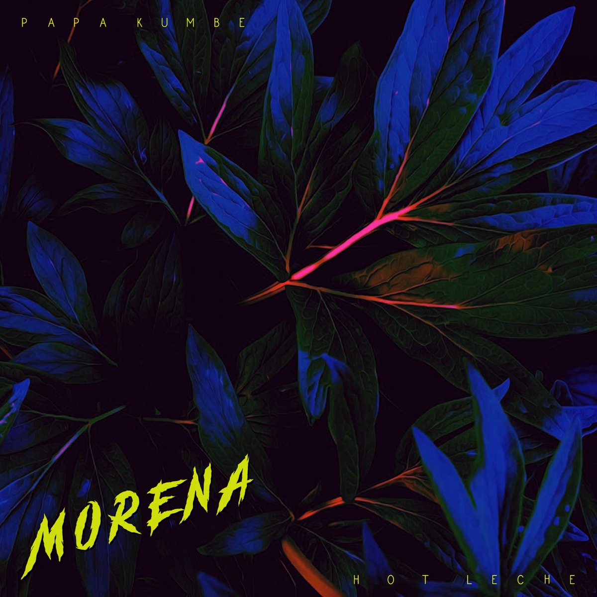 Morena - Single by Papá Kumbé & Hot Leche album cover