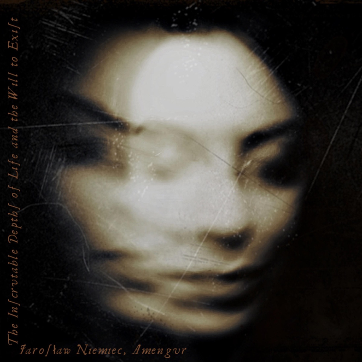 The Inscrutable Depths of Life and the Will to Exist - Single by Jarosław Niemiec & Amengur album cover