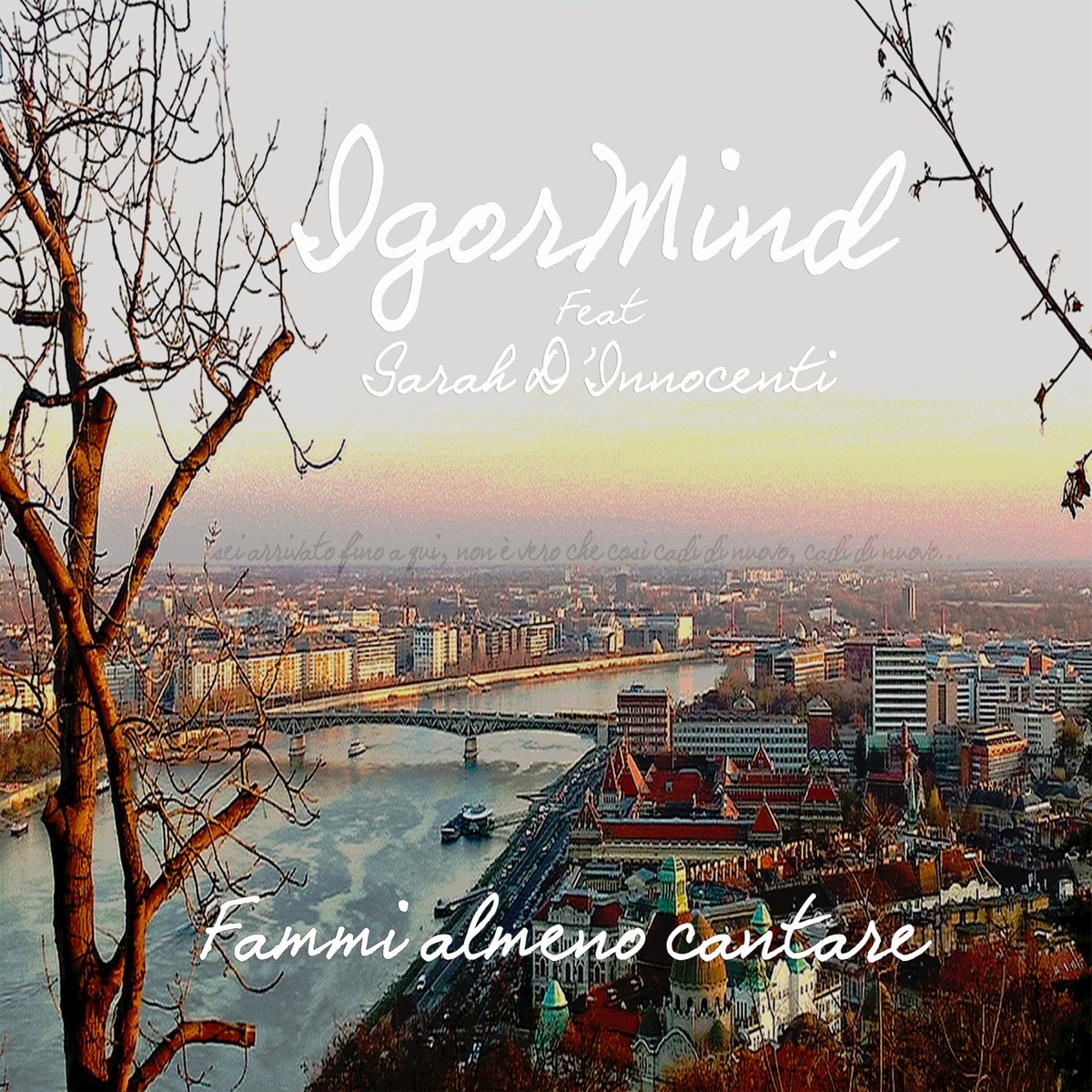 Fammi almeno cantare (feat. Sarah D'innocenti) - Single by Igormind album cover