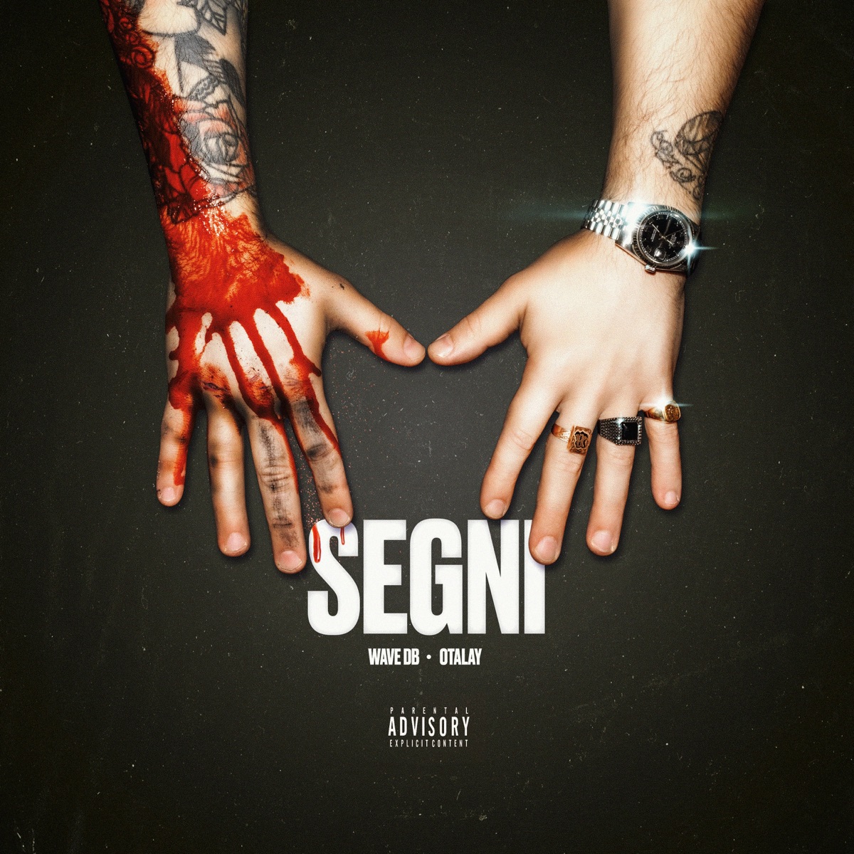 Segni - Single by Wave DB & Otalay album cover