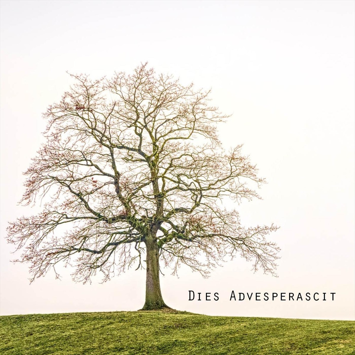 Dies advesperascit - EP by Patrik Sandin & Ingunn Ligaarden album cover