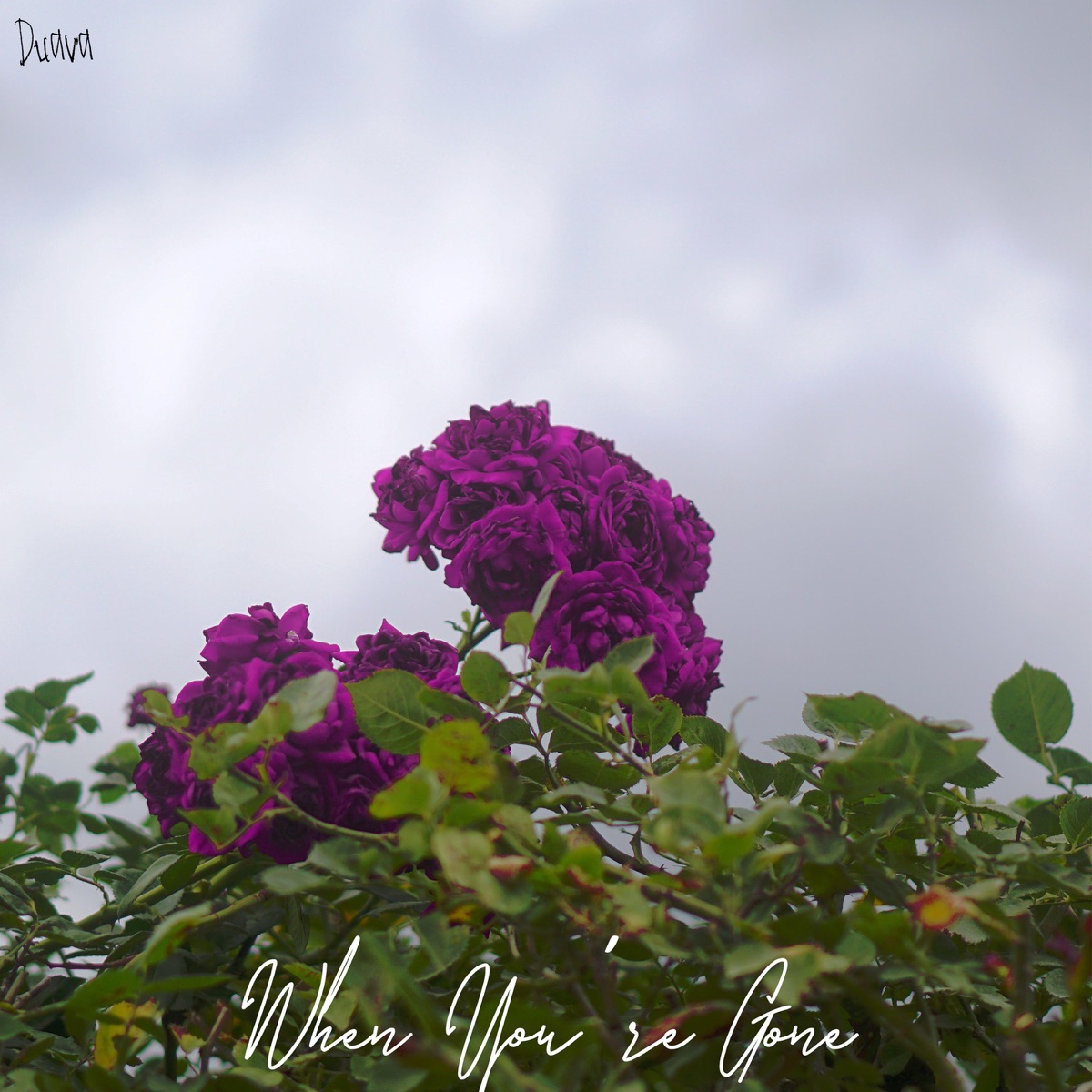 When You're Gone - Single by Duava album cover