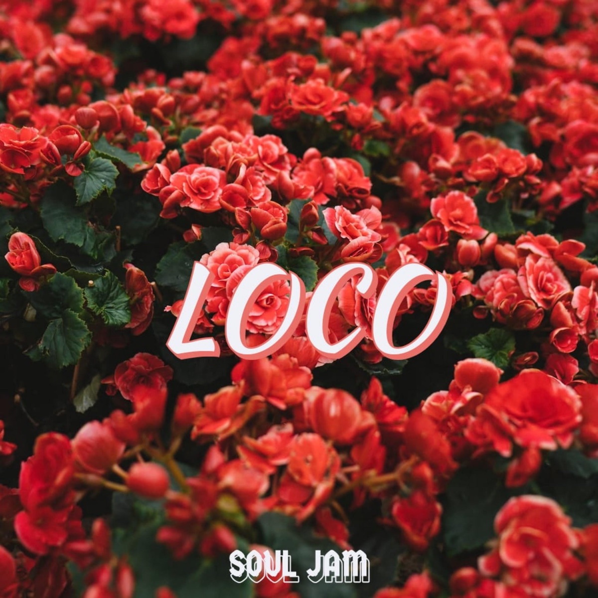 Loco - Single by Soul Jam album cover