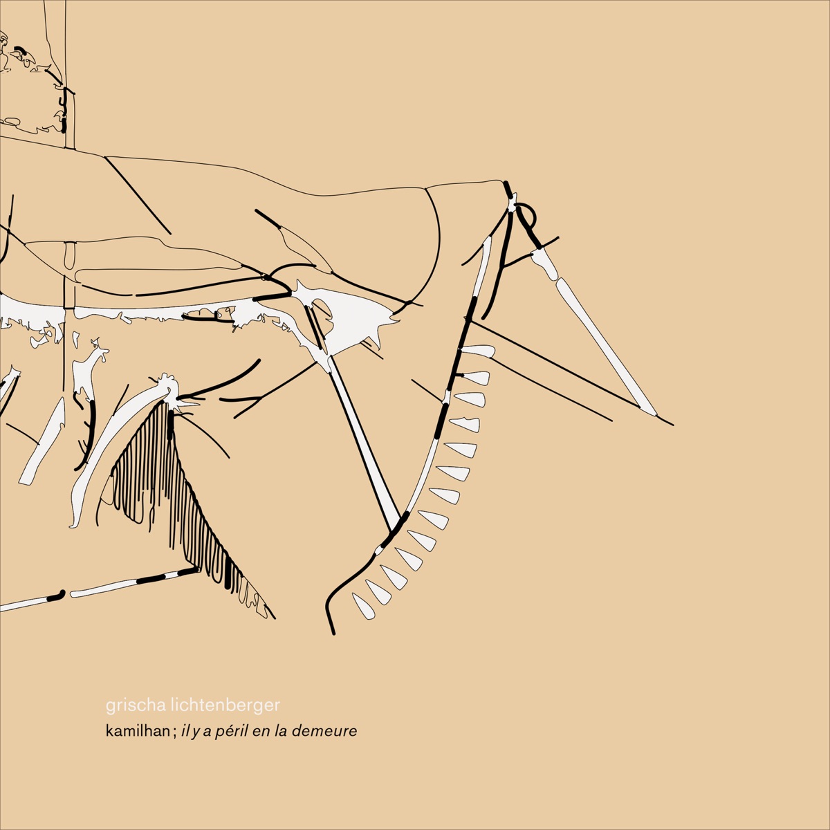 Kamilhan; il y a péril en la demeure by Grischa Lichtenberger album cover