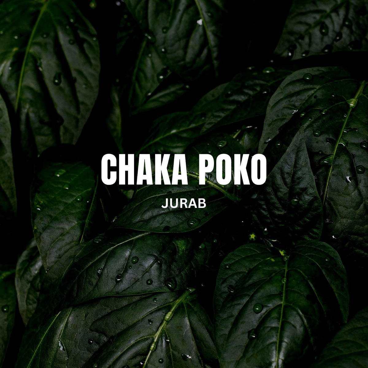 Chaka Poko - Single by Jurab album cover