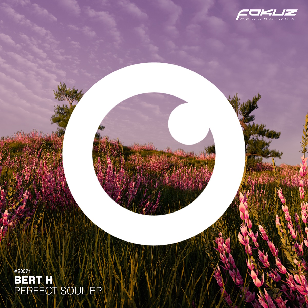 Perfect Soul Ep by Bert H album cover