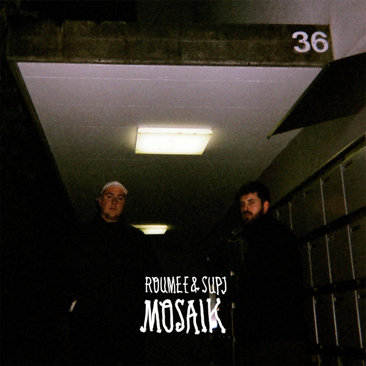 Mosaik by Roumee & Sup J album cover
