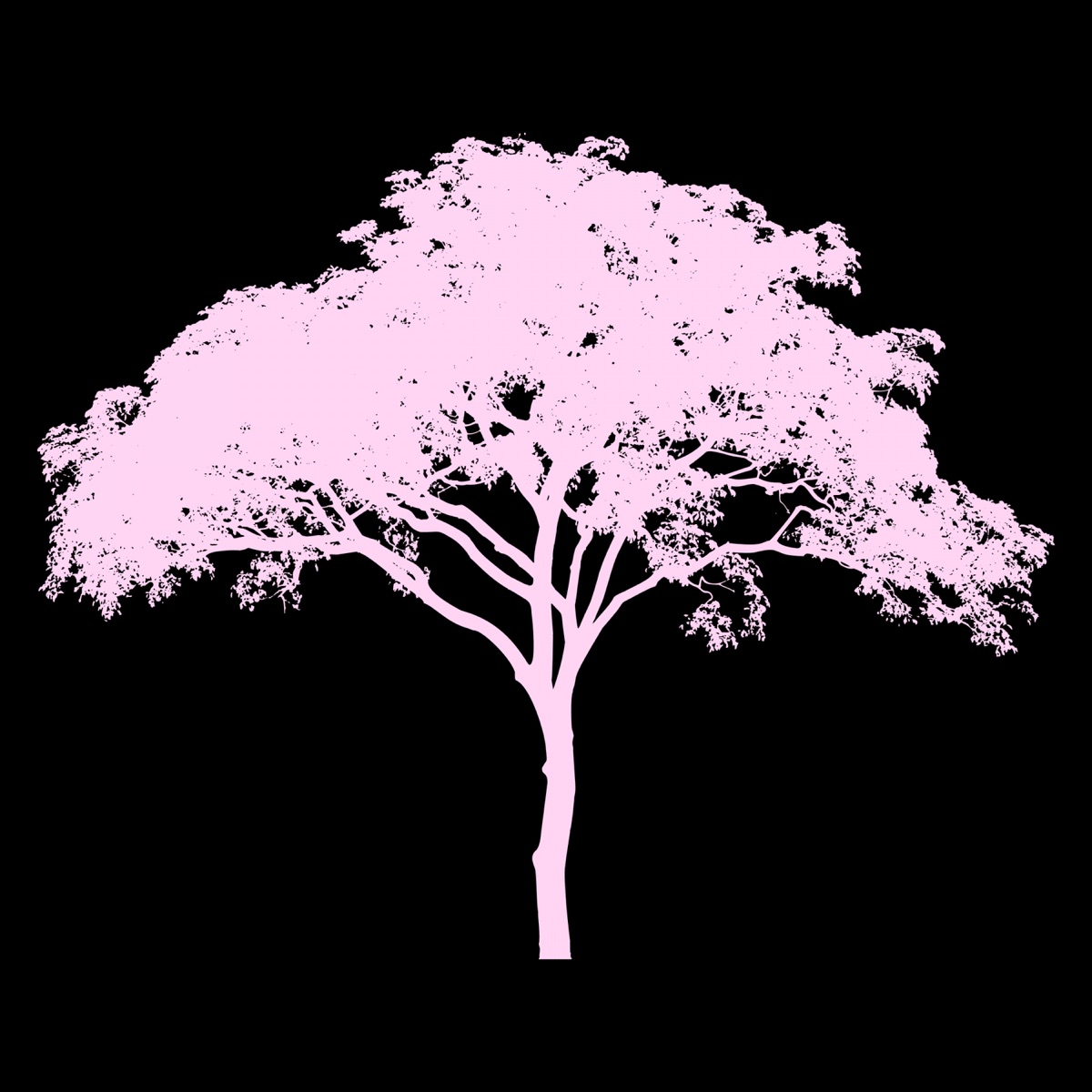 Pink Tree - Single by Young Lungs album cover