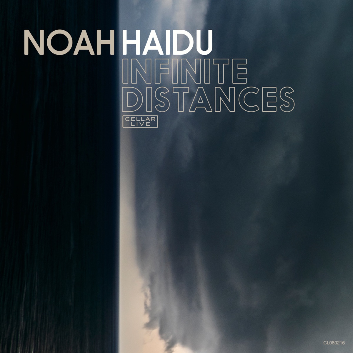 Infinite Distances by Noah Haidu album cover