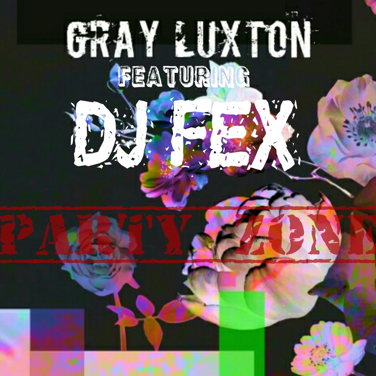Party Zone (feat. Dj Fex) - Single by Gray Luxton album cover