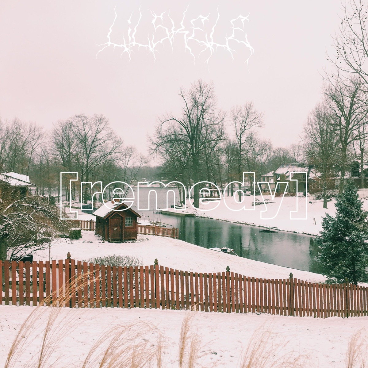 Remedy - EP by Lil Skele album cover