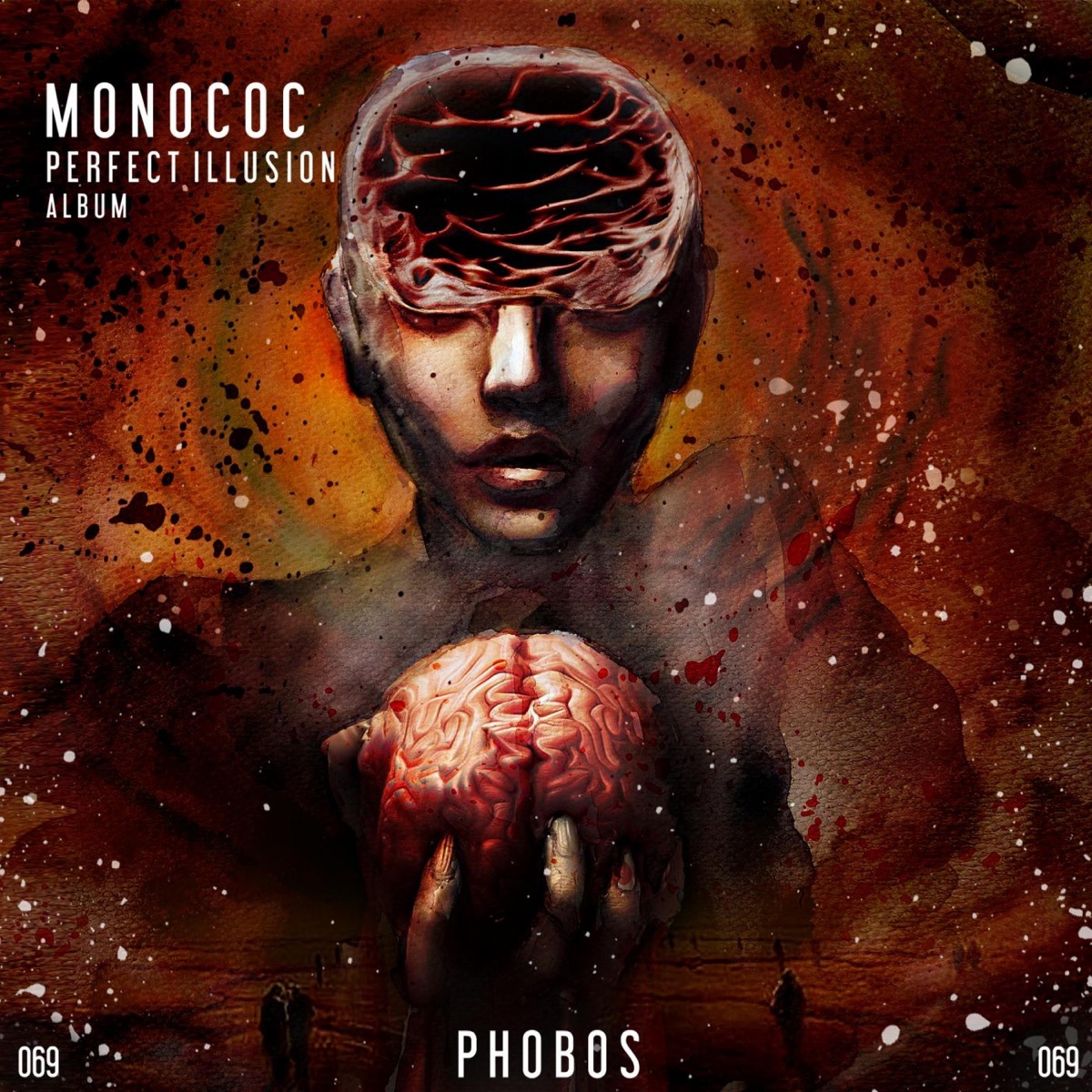 Perfect Illusion by Monococ album cover