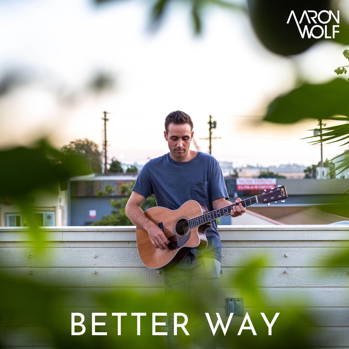 Better Way - Single by Aaron Wolf album cover