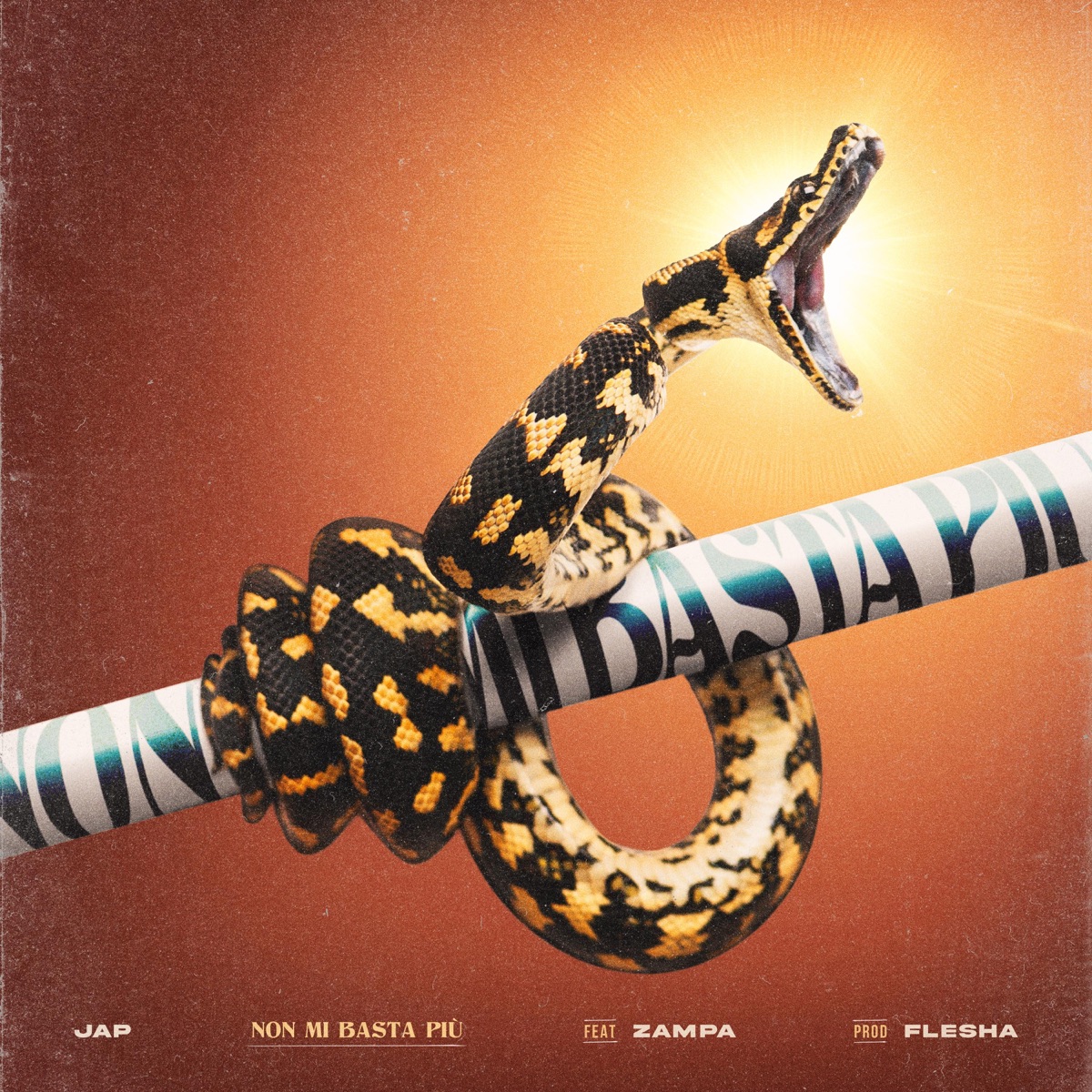 Non Mi Basta Più (feat. Zampa) - Single by JAP album cover