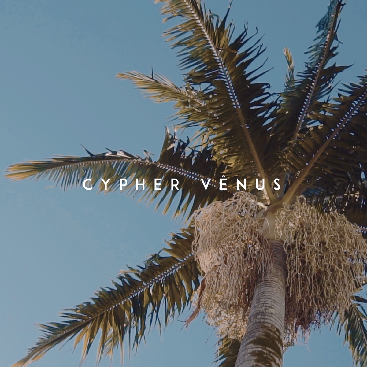 Cypher Vênus - Single by Prod.Vênus, Cheetos, Macaco, Jamal, Laura Jordão, Franco UE & Mutreta album cover