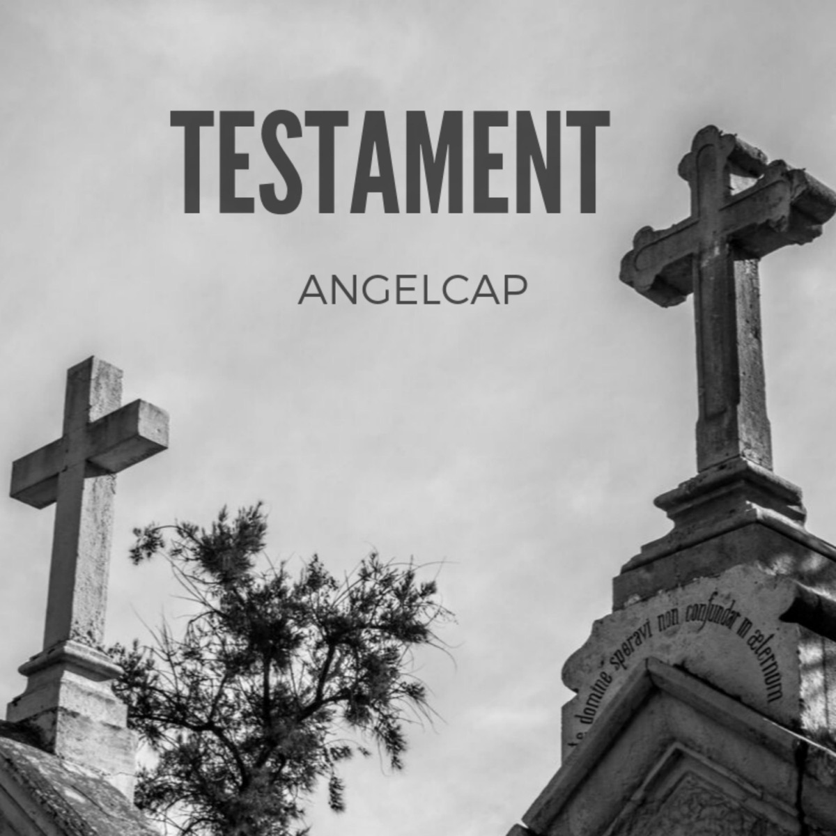 Testament by Angelcap album cover