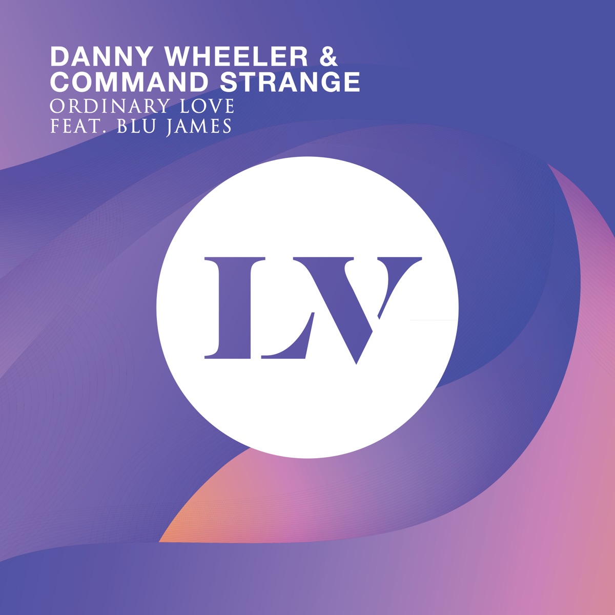 Ordinary Love (feat. Blu James) - Single by Danny Wheeler & Command Strange album cover