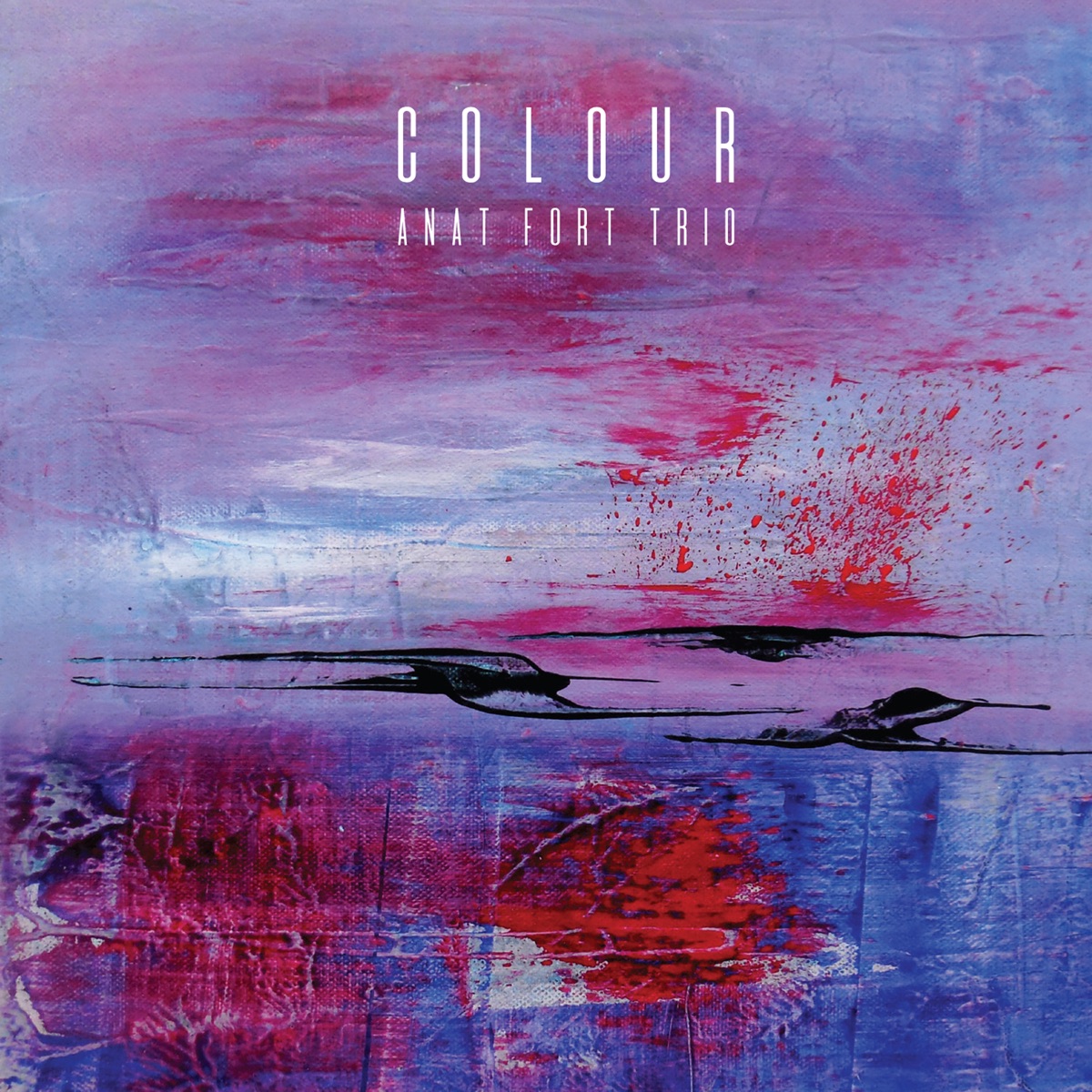 Colour by Anat Fort Trio album cover