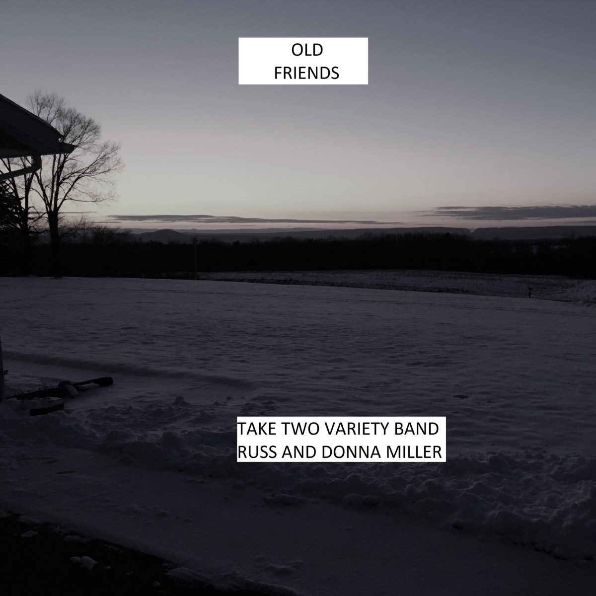 Old Friends - Single by Take Two Variety Band album cover