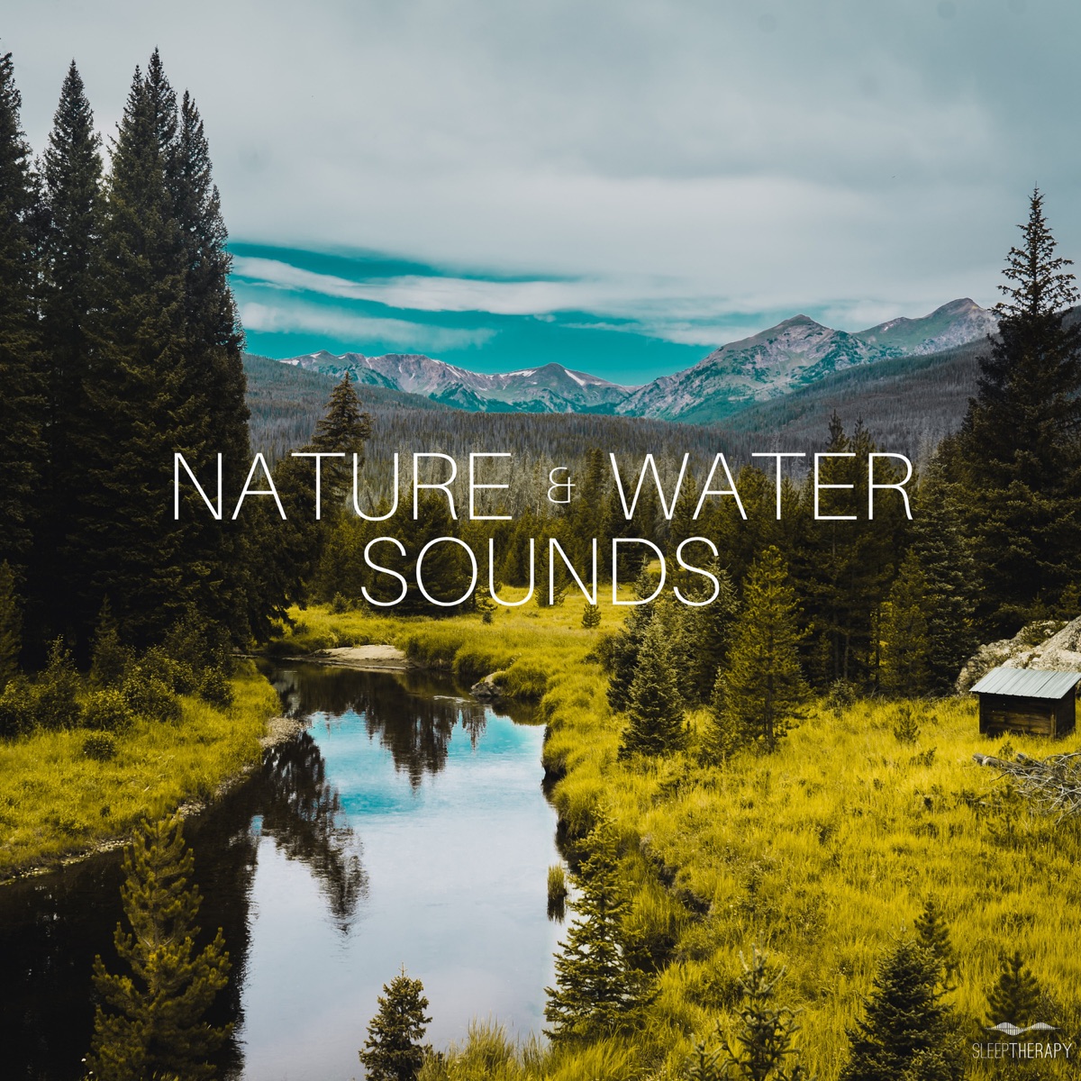 Nature & Water Sounds by SleepTherapy album cover artwork