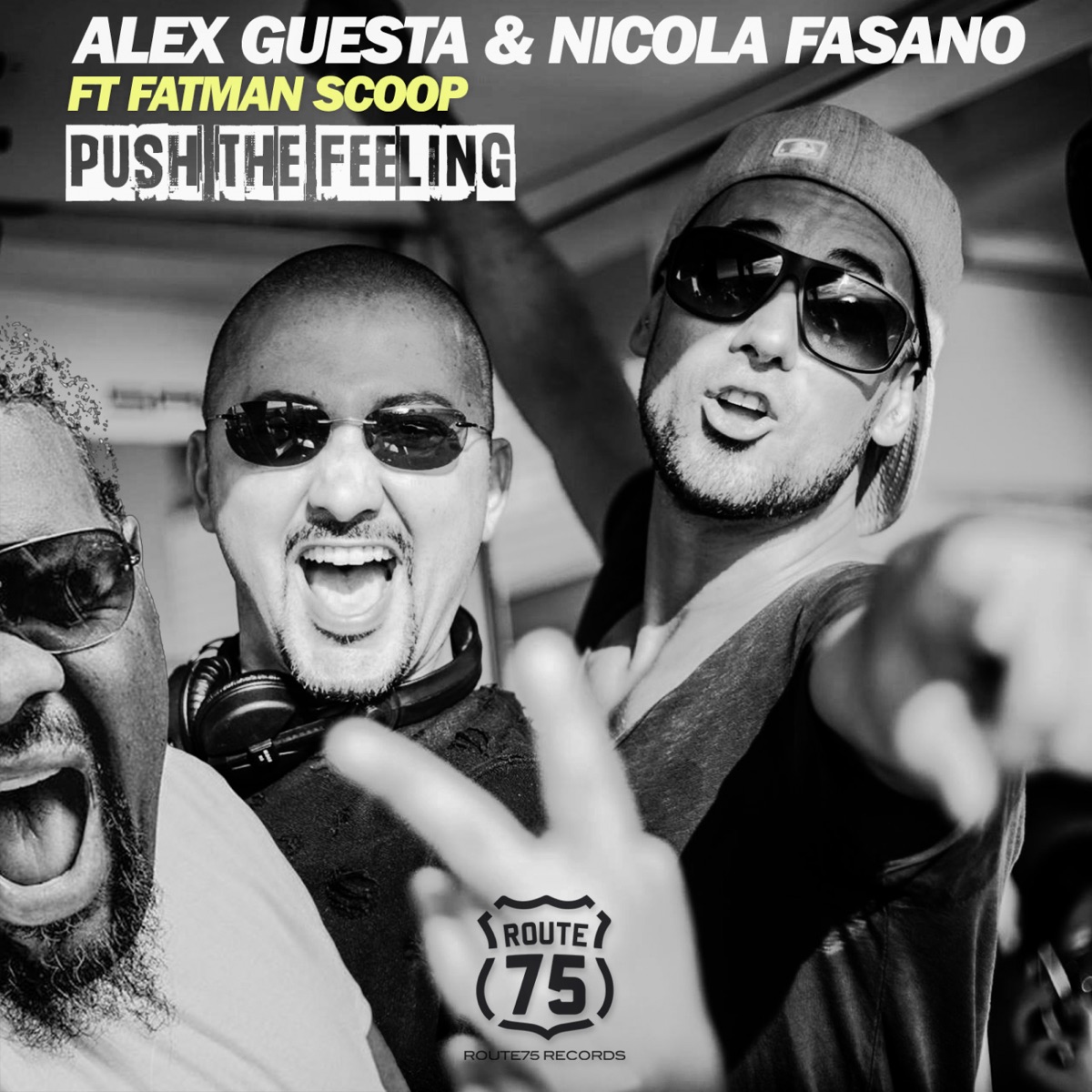 Push the Feeling - Single by Alex Guesta, Nicola Fasano & Fatman Scoop album cover