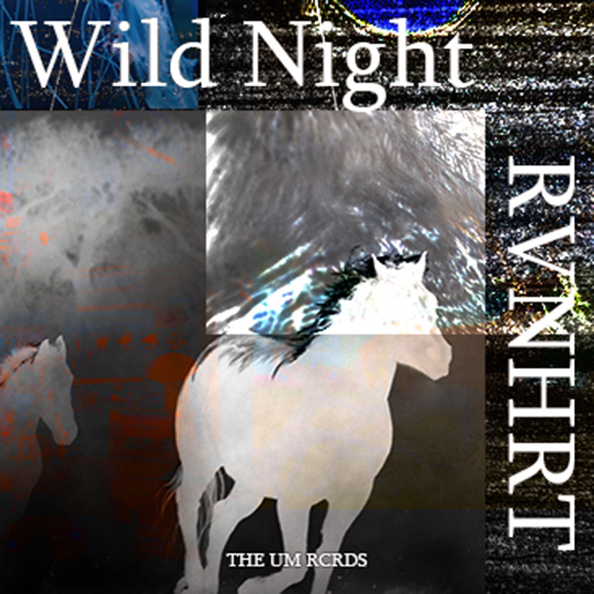 Wild Night - Single by RVNHRT album cover