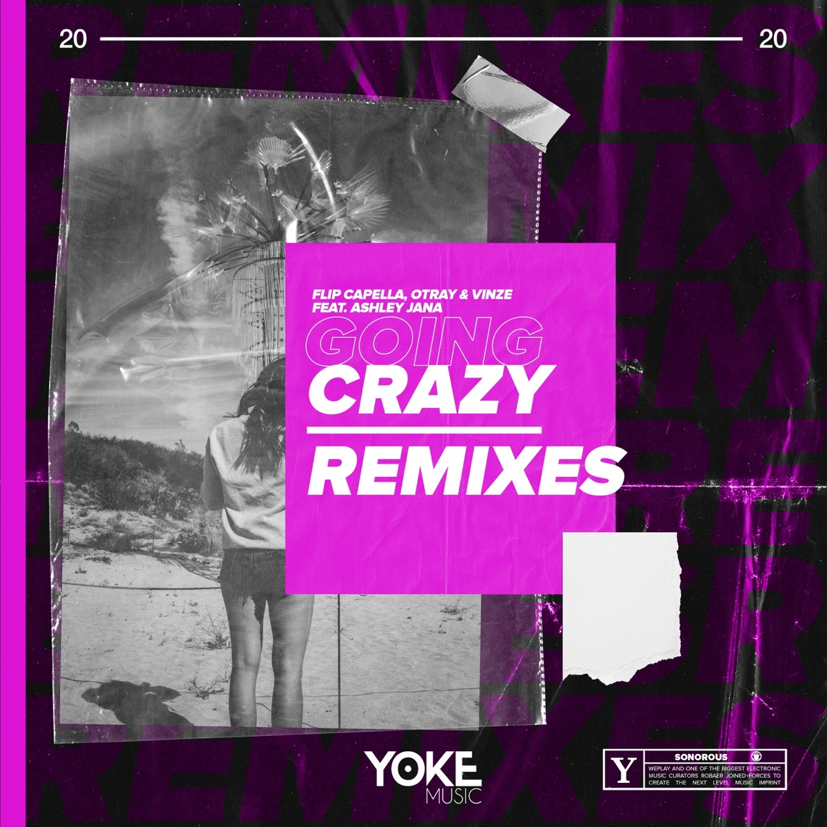 Going Crazy (Remixes) [feat. Ashley Jana] by Flip Capella, Otray & Vinze album cover