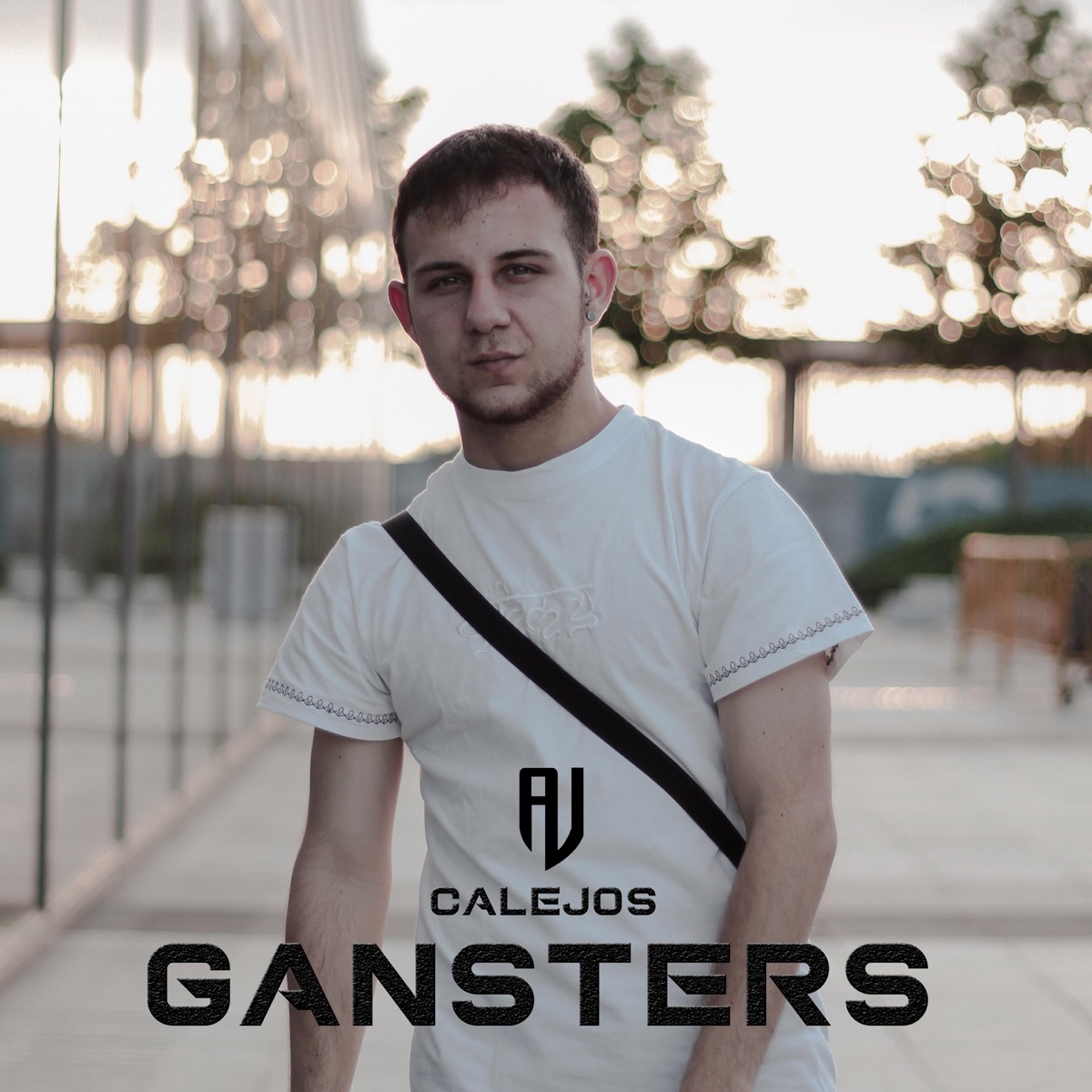 Gansters - Single by Calejos Yoyo album cover