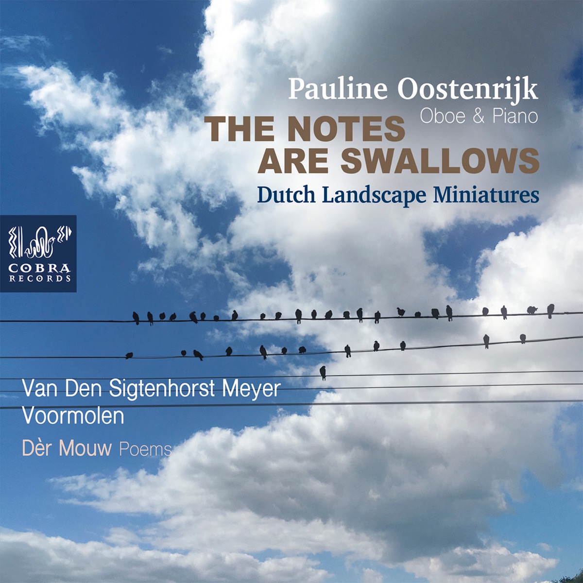 Notes Are Swallows by Pauline Oostenrijk album cover