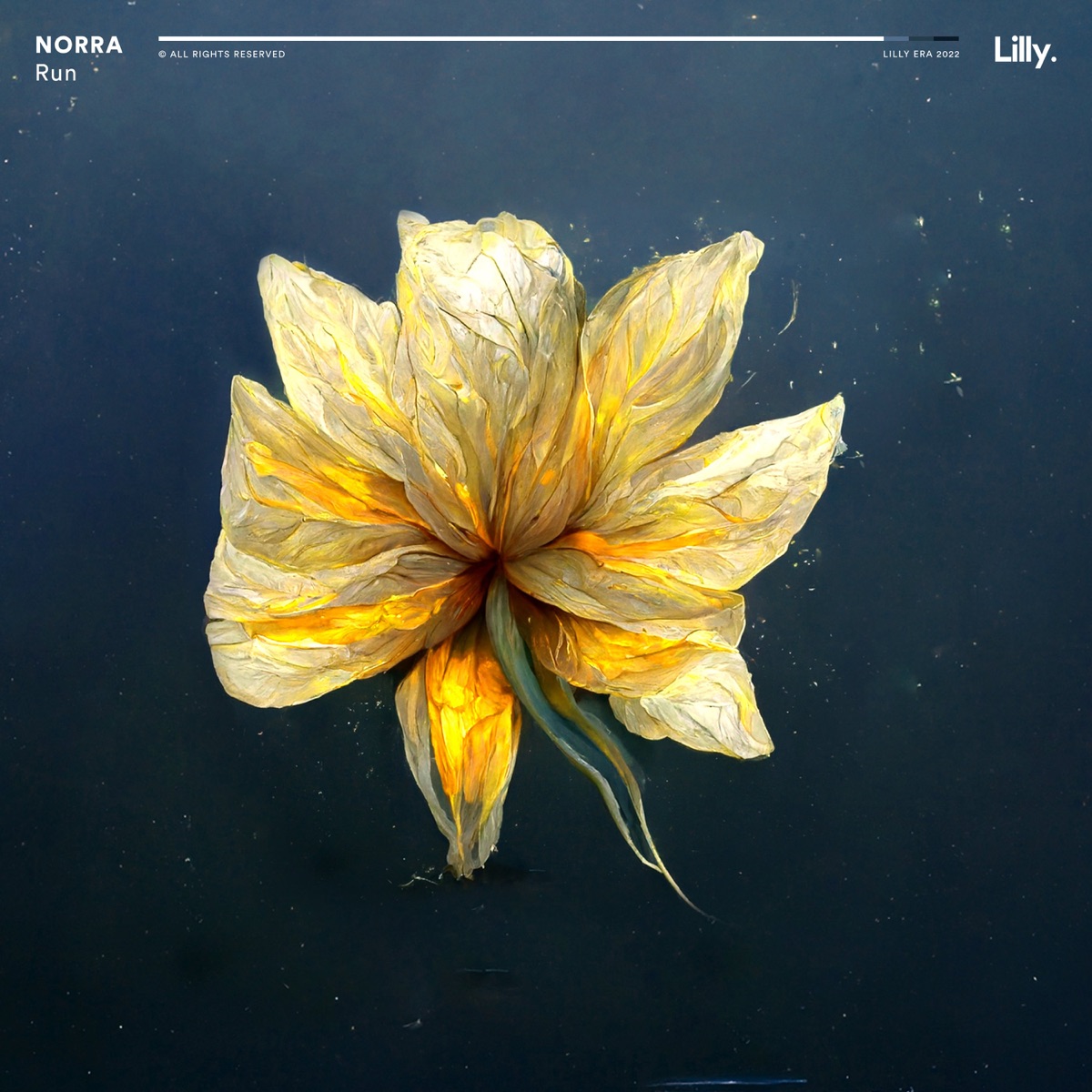 Run - Single by NORRA album cover