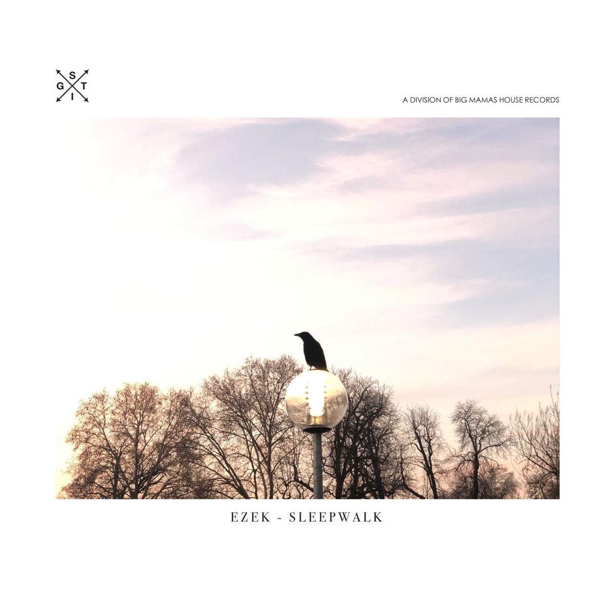 Sleepwalk - Single by Ezek album cover