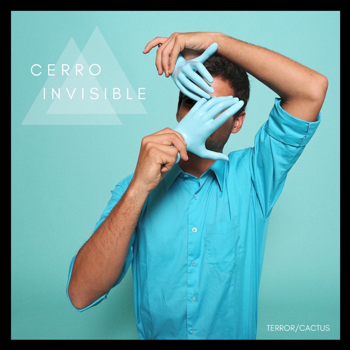 Cerro Invisible by Terror/Cactus album cover