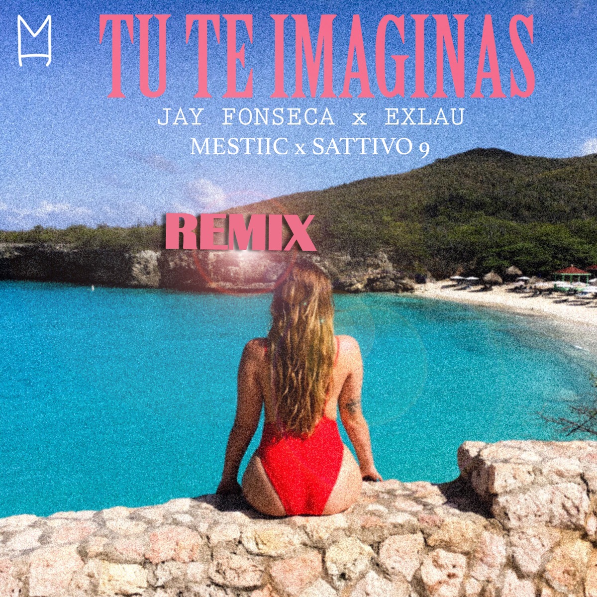 Tu Te Imaginas (feat. SATTIVO 9) [Remix] - Single by Jay Fonseca, Exlau & Mestiic album cover