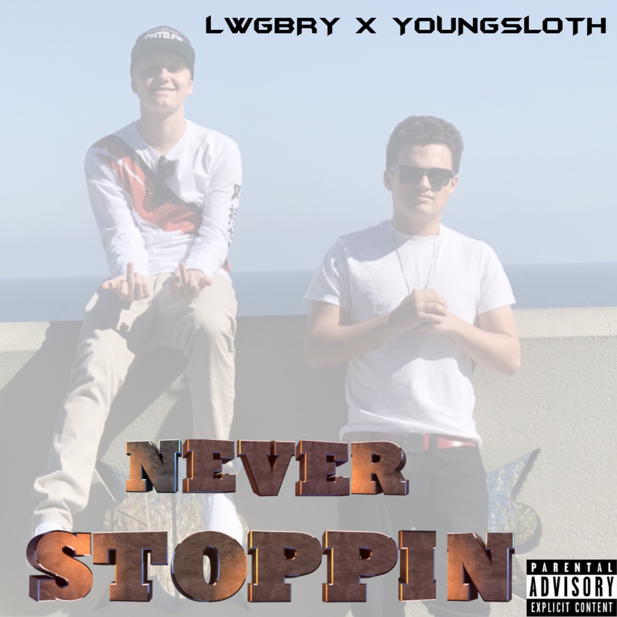 Never Stoppin - Single by LWGBRY album cover