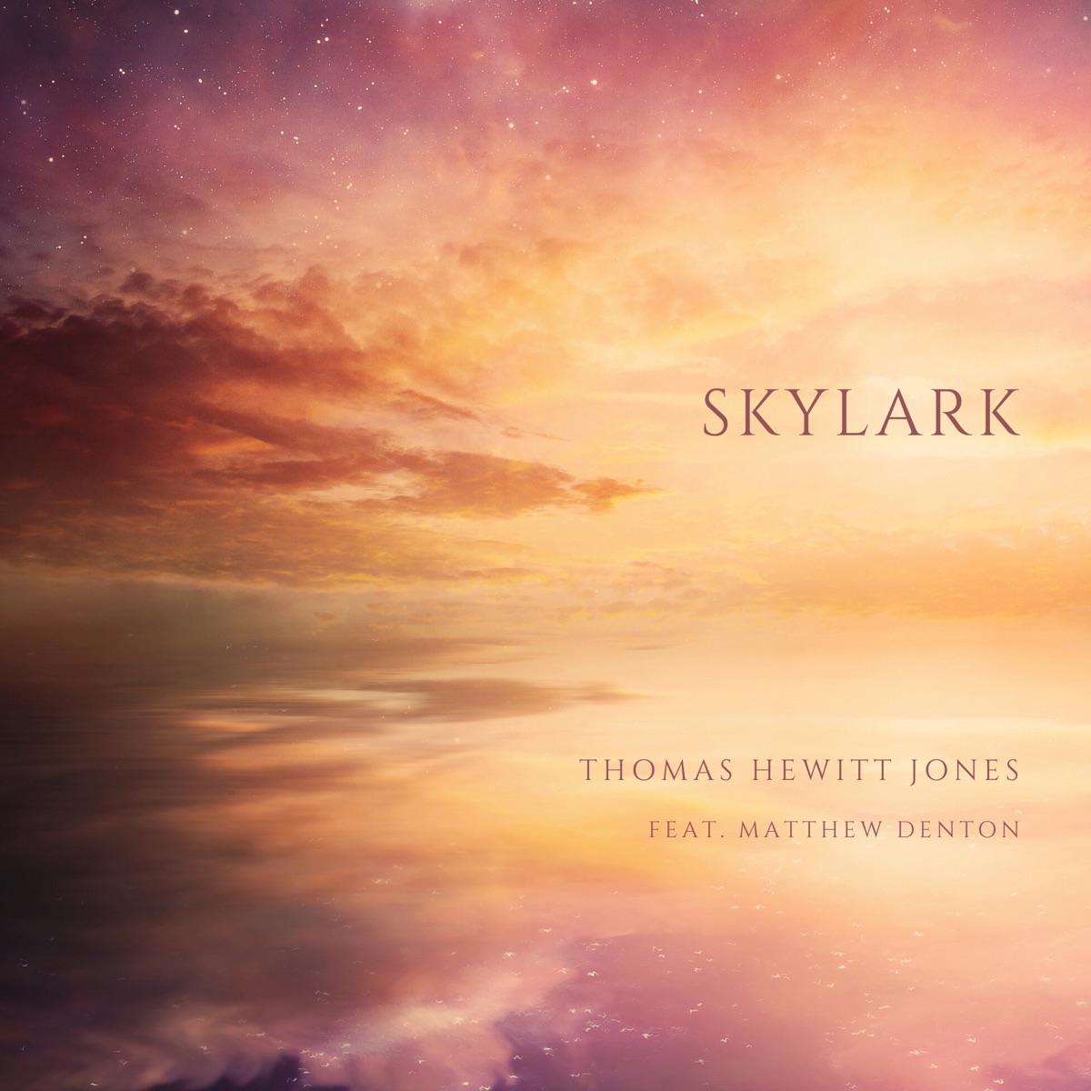 Skylark (feat. Matthew Denton) - Single by Thomas Hewitt Jones album cover