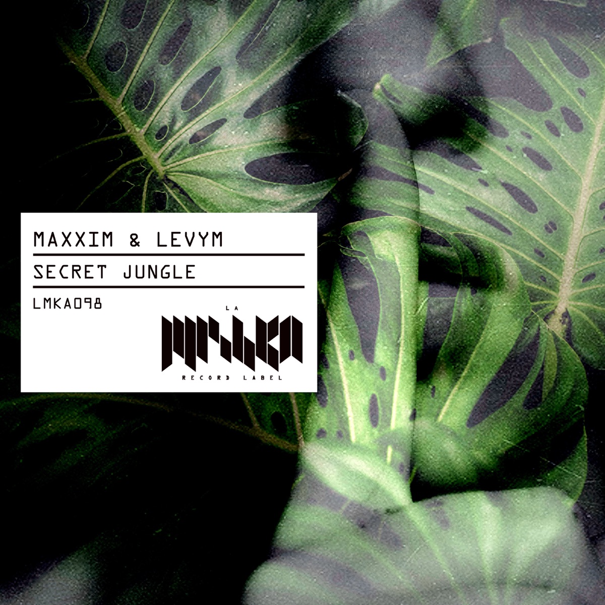 Secret Jungle - Single by Maxxim & LevyM album cover