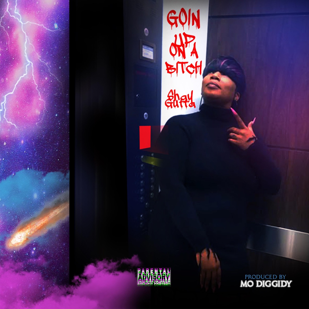 Goin' Up on a Bitch - Single by Shay Gutta album cover