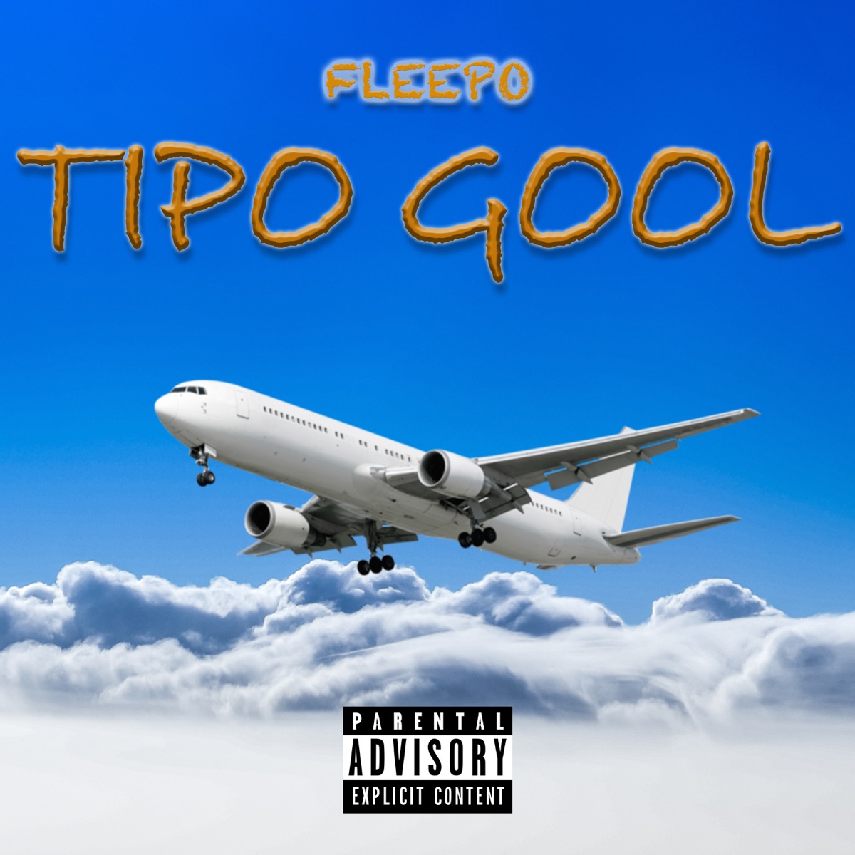 Tipo Gool - Single by Fleepo album cover