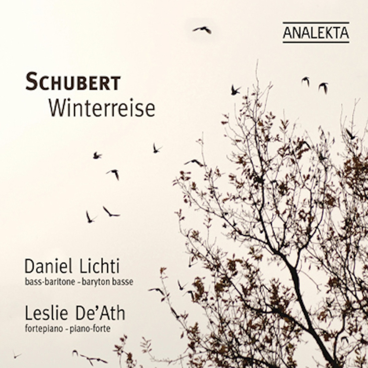 Winterreise (Winter Journey) by Daniel Lichti album cover