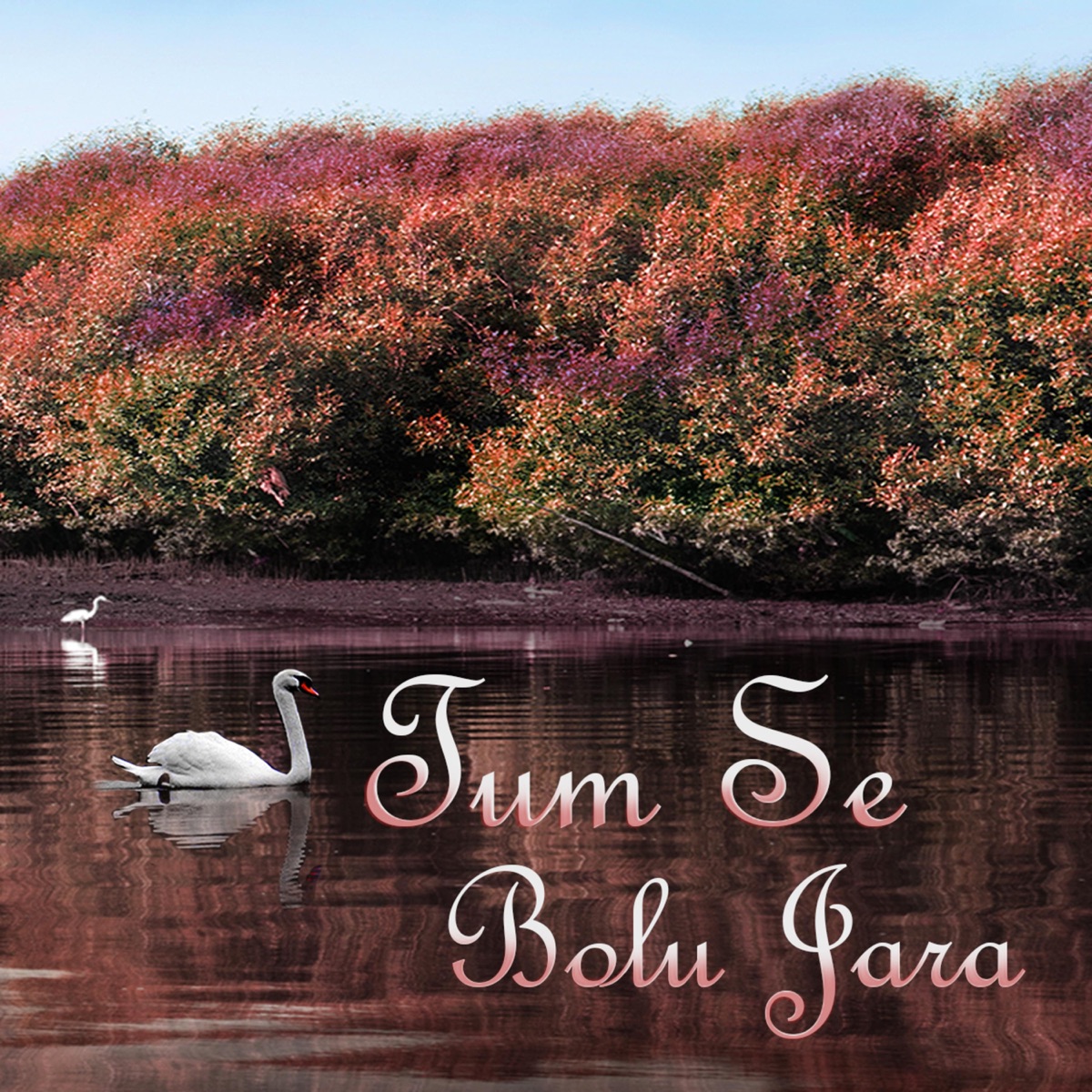 Tum Se Bolu Jara (feat. Chandana Bala Kalyan) - Single by Parallel Notes Music album cover