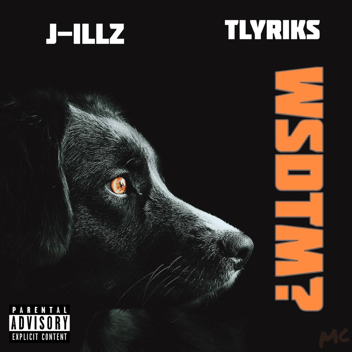 What She Do to Me (feat. J-Illz) - Single by Tlyriks album cover