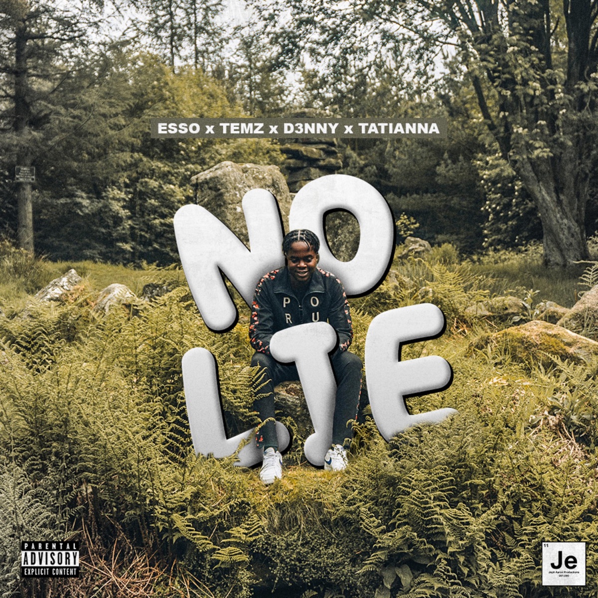 No Lie (feat. Esso, D3nny & Tatiana Da Silva) - Single by Temz album cover